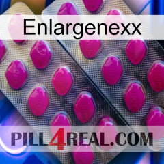 Enlargenexx 10